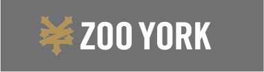 ZO YORK